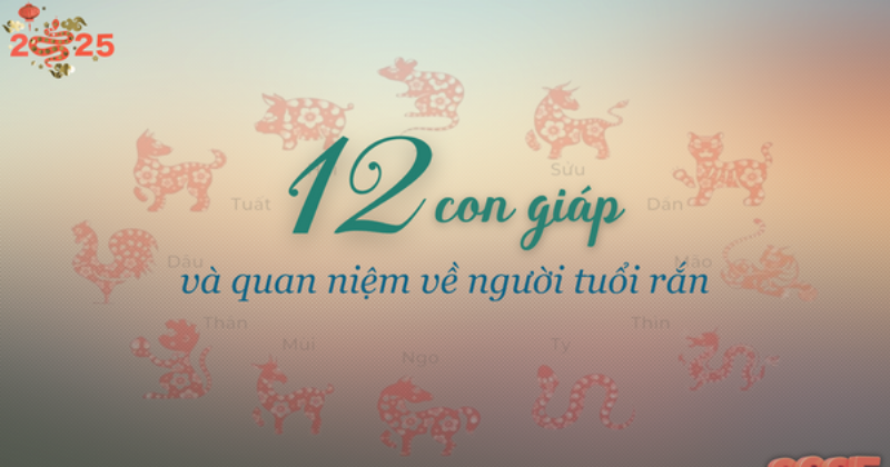 Hinh anh bieu tuong cac con giap rong voi cac mau sac khac nhau tuong ung menh khac nhau